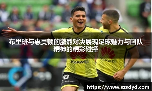 布里班与惠灵顿的激烈对决展现足球魅力与团队精神的精彩碰撞